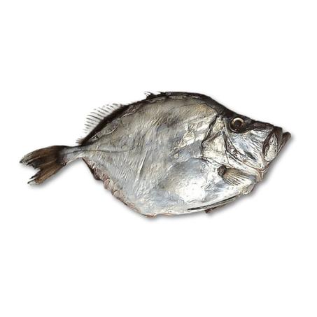 (سامبيار ميطاليزي)SAINT PIERRE METALISE