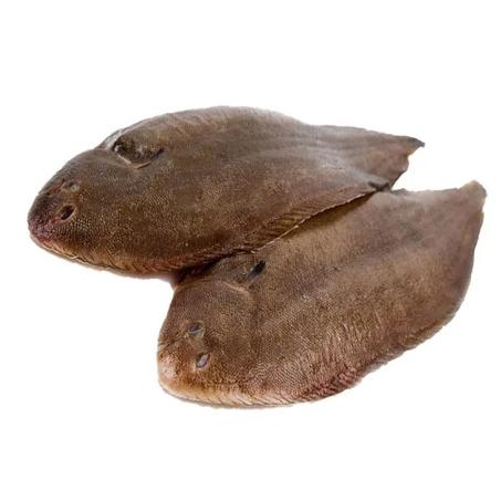 (صول بوكلي )SOLE BOUCLE