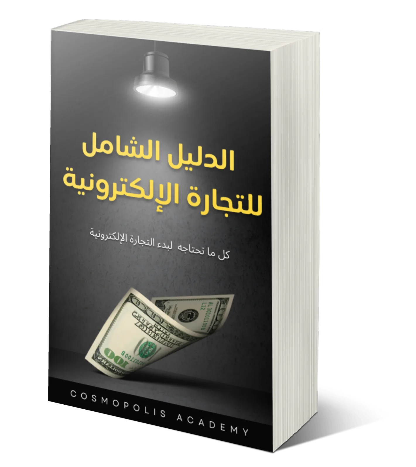 الدليل الشامل للتجارة الإلكترونية