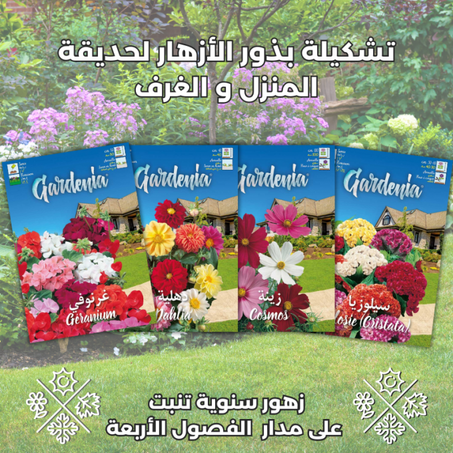 4 أنواع من بذور الأزهار