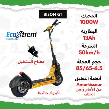 Trottinette électrique Bison GT 1000W