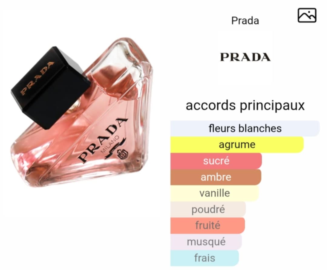 Prada paradoxe