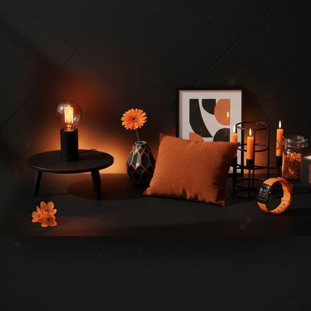 اثاث وادوات منزلية