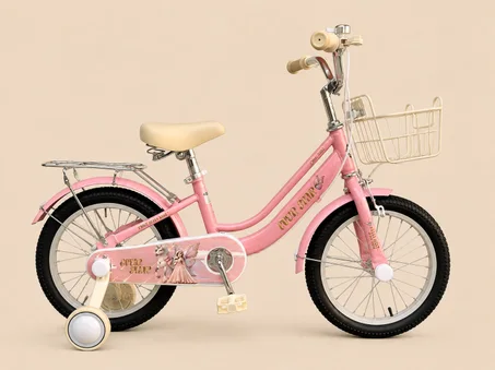 bicyclette raccoon