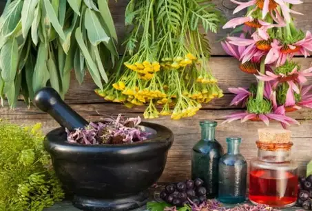 المنتجات الطبيعية