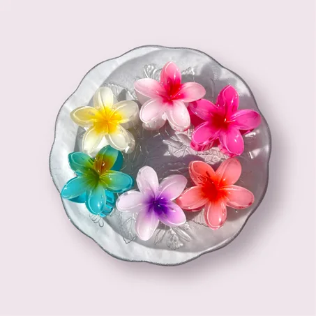 Pince à cheveux fleurs