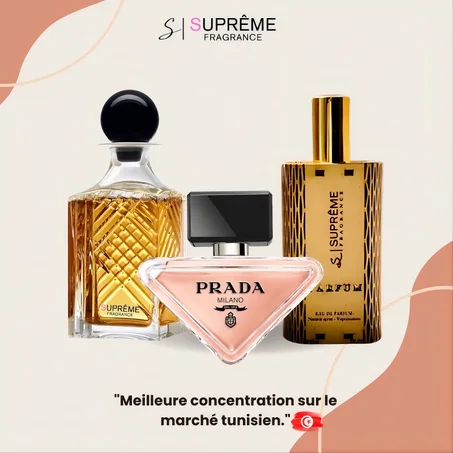 Prada Paradoxe