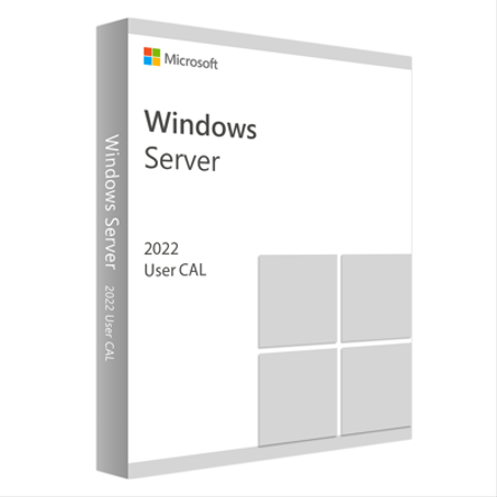 Microsoft Windows Server CAL 2022 French 1pk DSP O