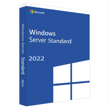 Microsoft Windows Svr Std 2022 64Bit French 1pk DS