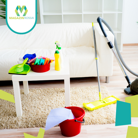 Nettoyage domestique