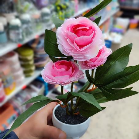 fleurs de décoration