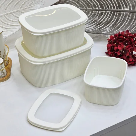 Lot de 3 boîtes de conservation  ( 1,2,3 litres )