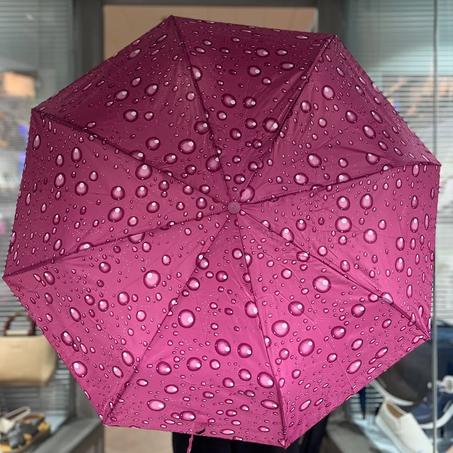 Parapluie automatique portatif