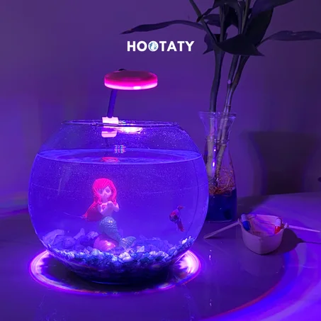 Pack Standard Hootaty 🐟