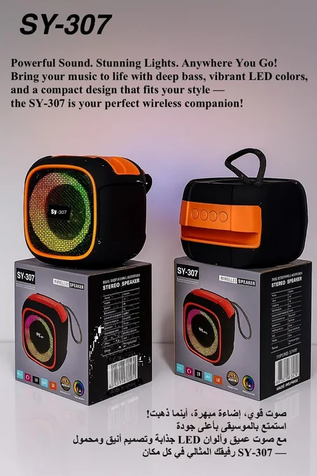 Enceinte Bluetooth SY-307