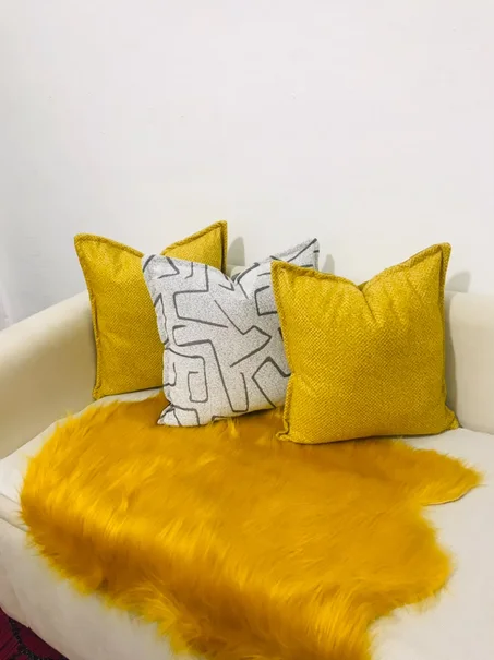 Coussin canapé