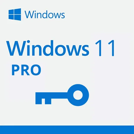 Windows 11 pro