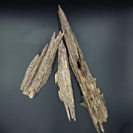 فيتنامي أشواك 5 غرام