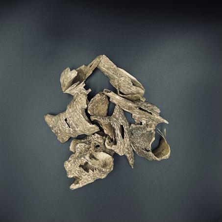 فيتنامي قيعان 5 غرام