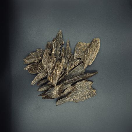 سايجون 5 غرام