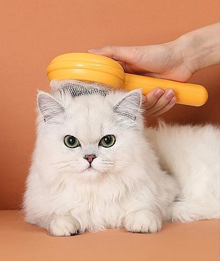 مشط فرشاة للحيوانات الأليفة 🐾🧼 - إزالة الشعر المتساقط وتجنب كرات الشعر