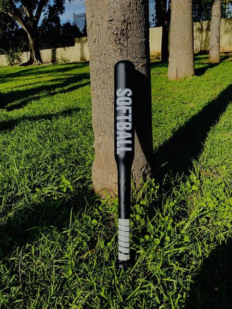 مضرب البيسبول