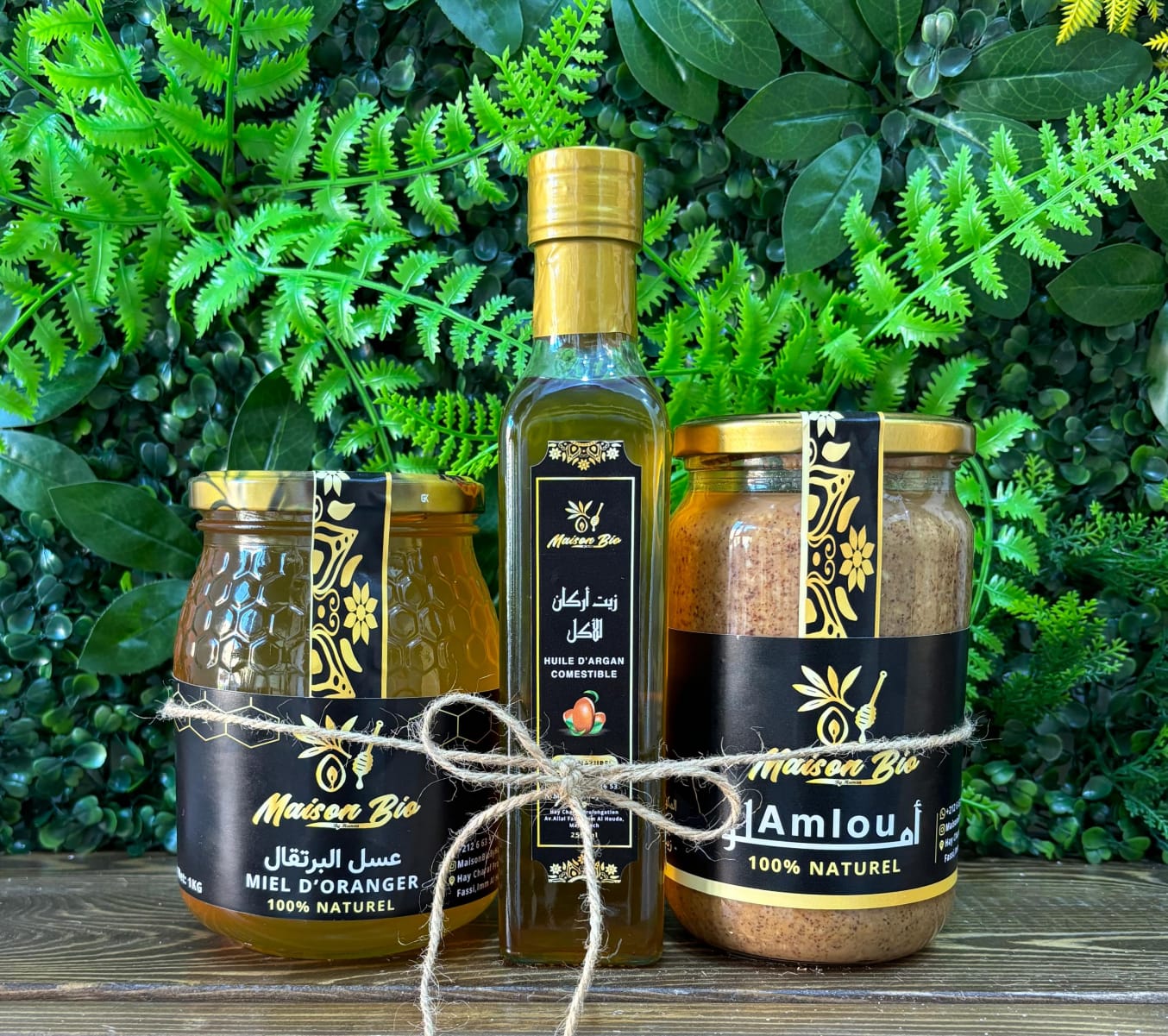 🍊 باك الانتعاش