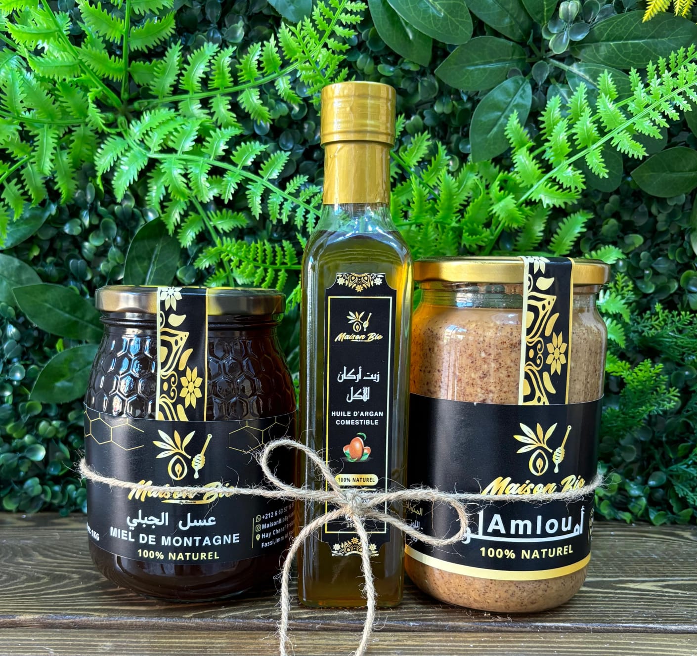 🏔 باك الأطلس