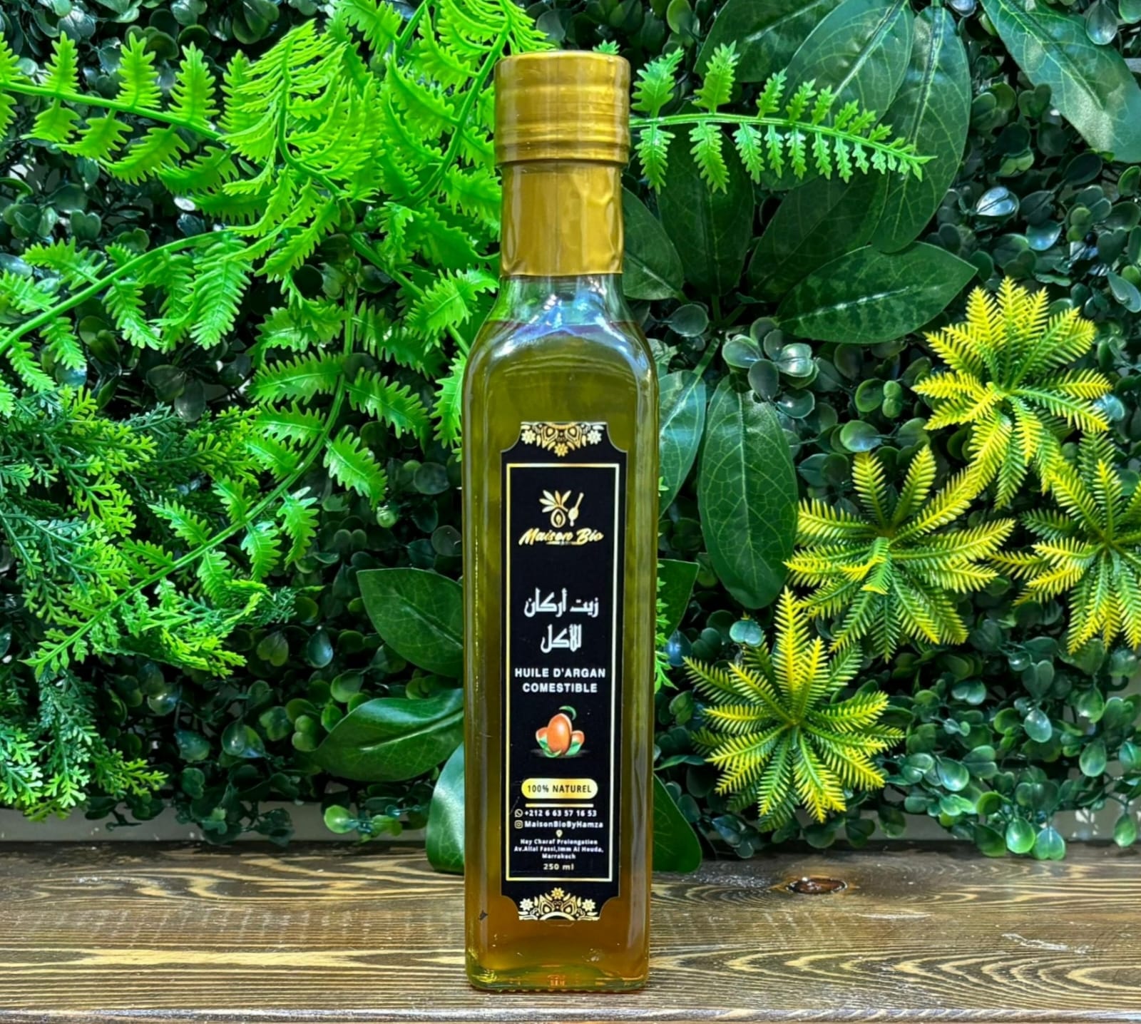 🍊 باك الانتعاش