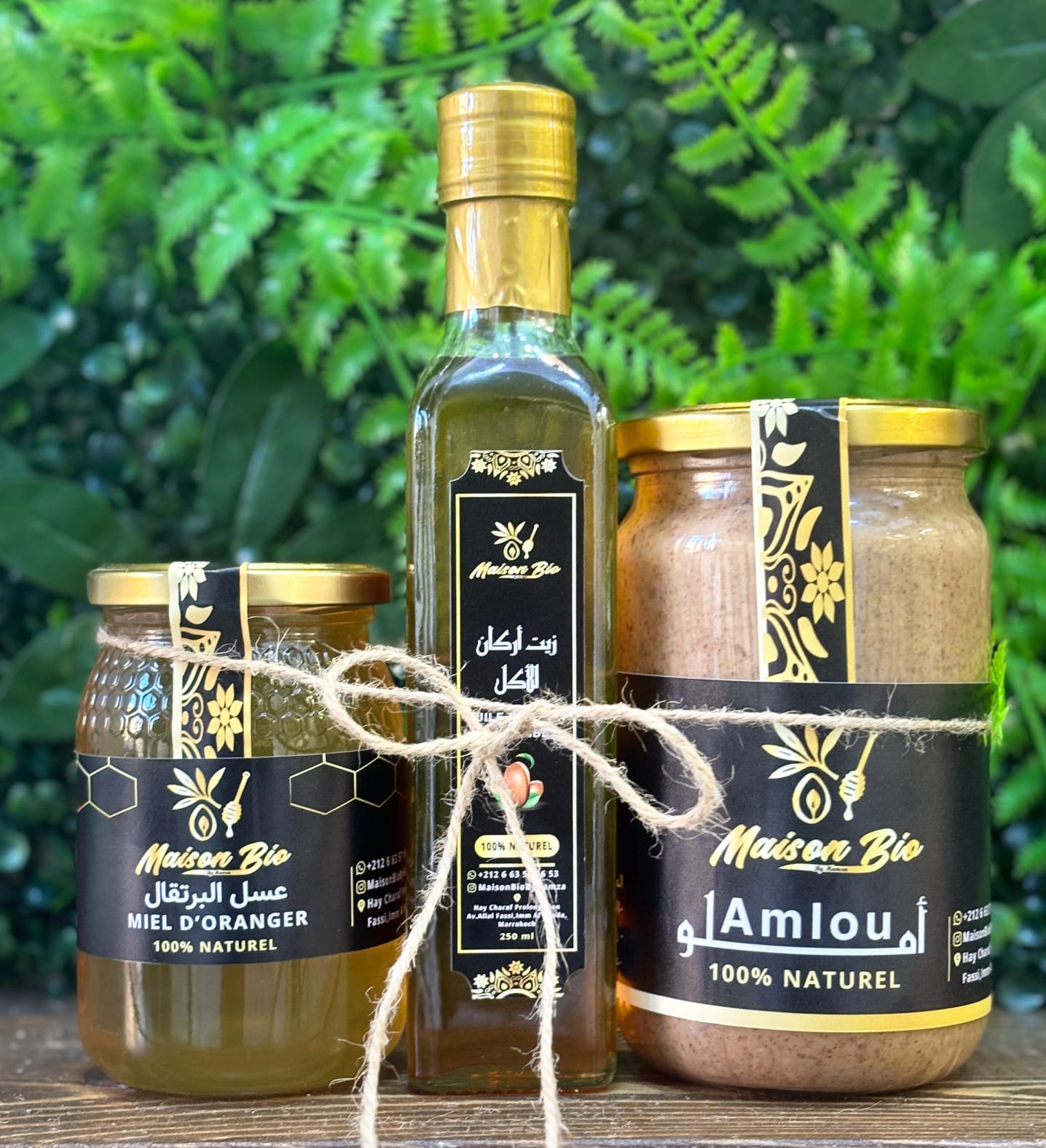 🍊 باك الانتعاش