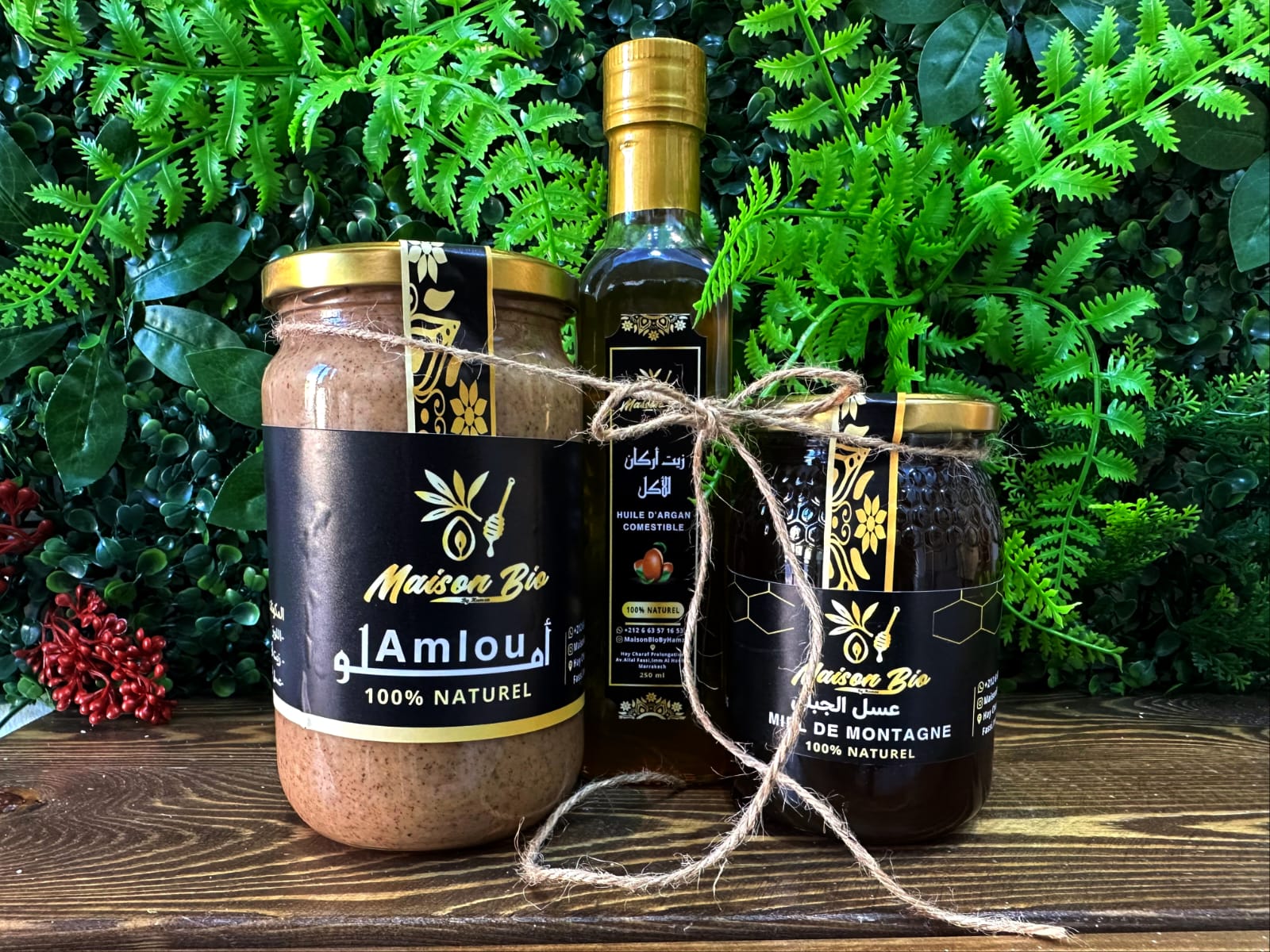 🏔 باك الأطلس