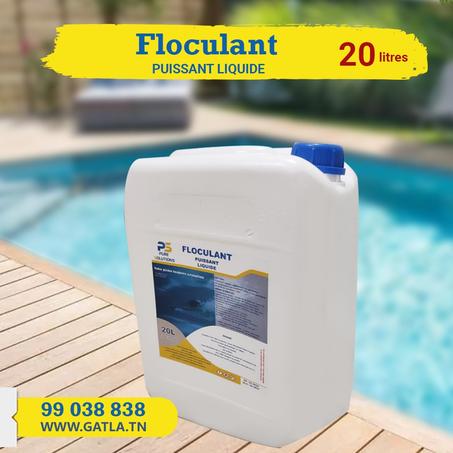 floculant 20 litres emballage economique