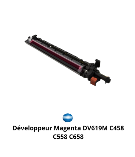 Développeur Magenta DV619M C458 C558 C658