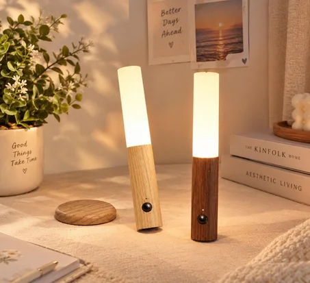 PACK 2 LED