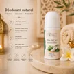 ZEN FRESH | Déodorant fraîcheur purifiante | AYANA Biolife