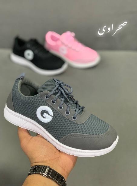 سبرديلا أنجكسيو