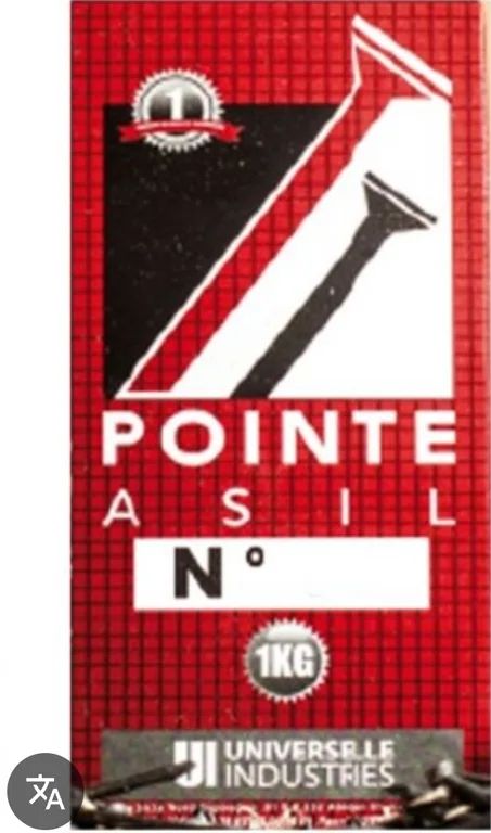 pointe acier