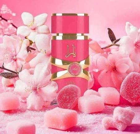 اوريجنال يابنات   يااارا كاندي   احدث إصدارات لطافه ❤️❤️