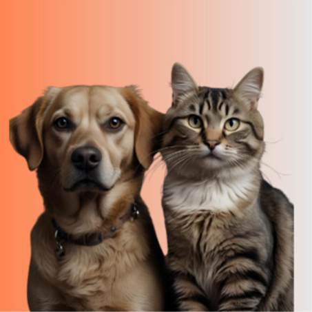 الحيوانات الأليفة