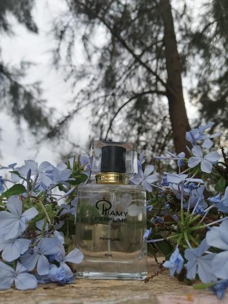 parfums génériques