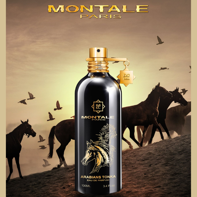 MONTALE ARABIANS TONKA