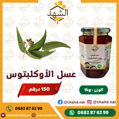 1kg عسل الاوكلبتوس