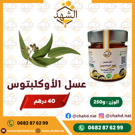 250g عسل الاوكلبتوس