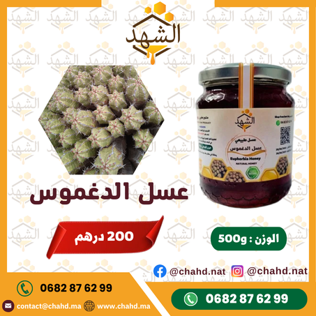 500g عسل الدغموس