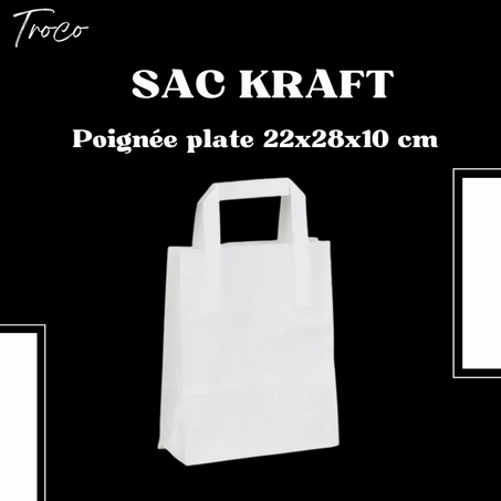 Pack 10 Sac Kraft poignées plate  22x28x10 cm