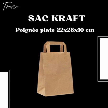 Pack 10 Sac Kraft poignées plate  22x28x10 cm