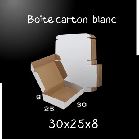 PACK 10 unités boite carton BLANC 30x25x8 CM