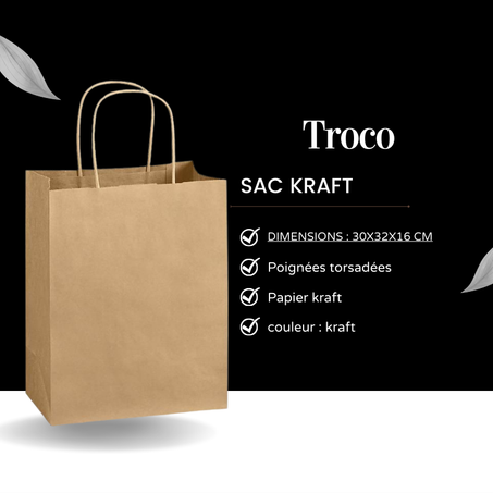 Pack 10 Sac Kraft poignées torsadées  30x32x16 cm