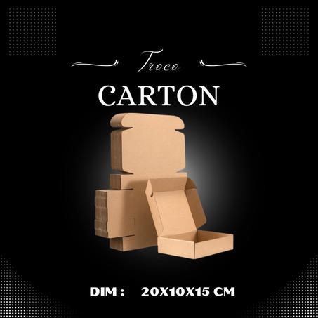 Pack 10 unités Boite carton 20x10x15 cm