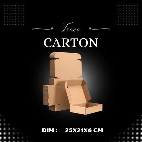 Pack 10 unités Boite carton 25x21x6 cm